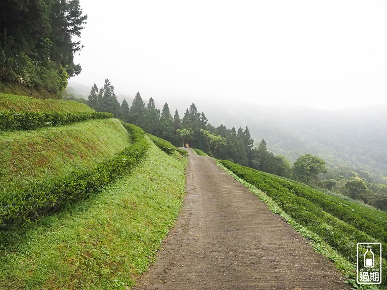 熊空茶園