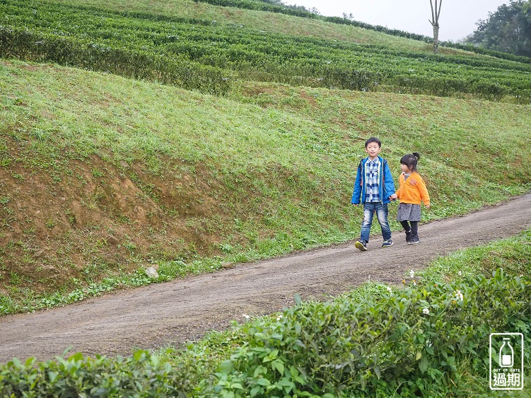 熊空茶園