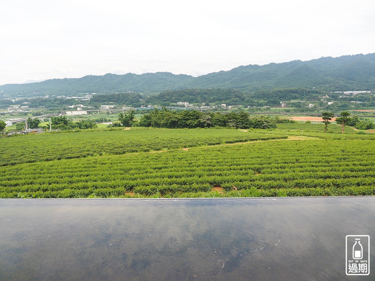 苗栗銅鑼茶廠