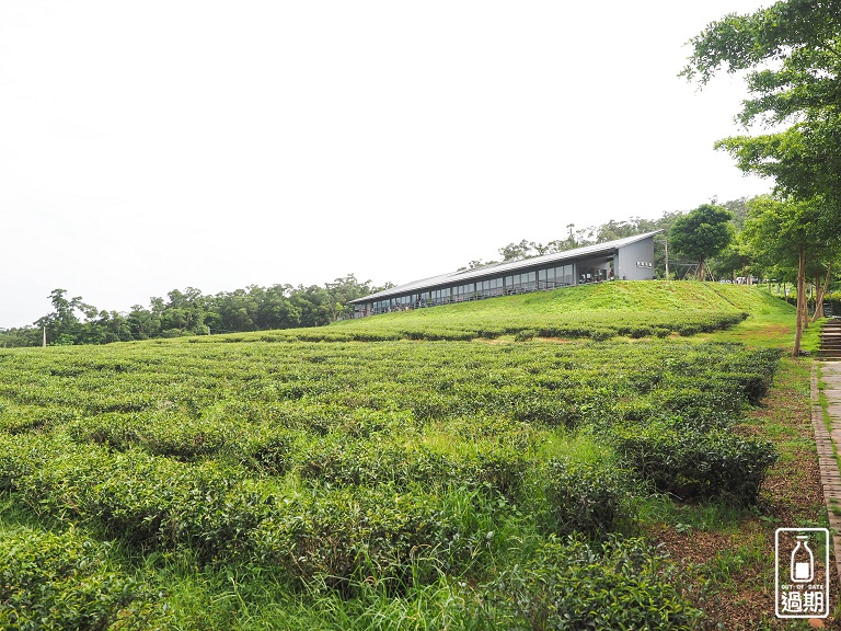 苗栗銅鑼茶廠