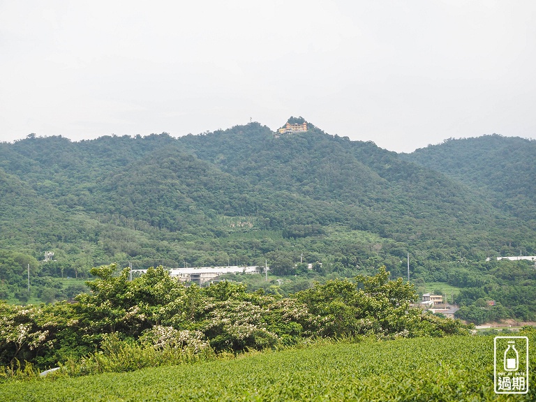 苗栗銅鑼茶廠