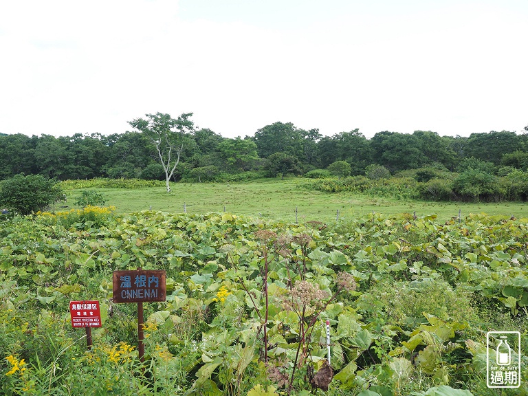 溫根內濕原步道