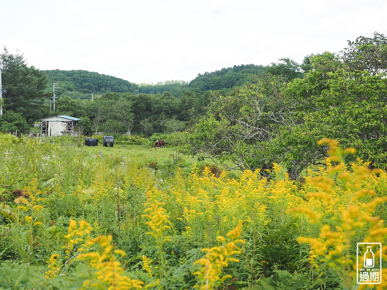 溫根內濕原步道