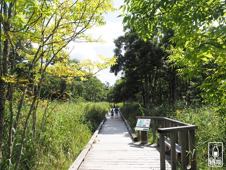 溫根內濕原步道