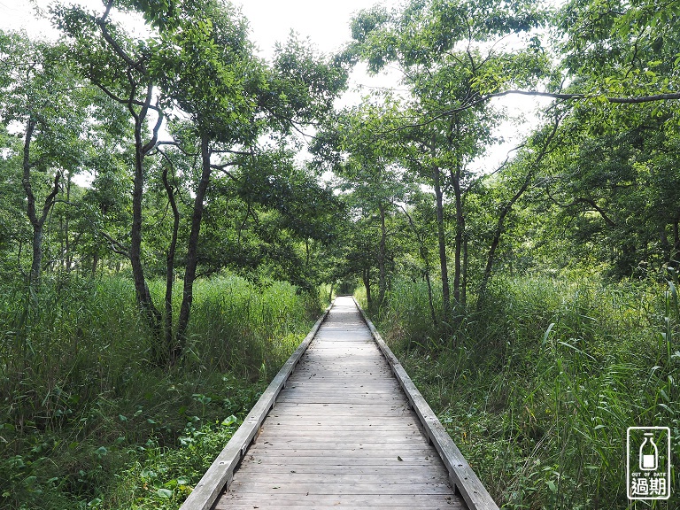 溫根內濕原步道