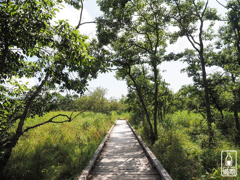 溫根內濕原步道