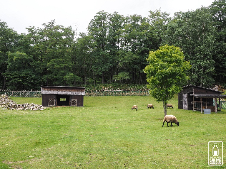 富良野-風之花園