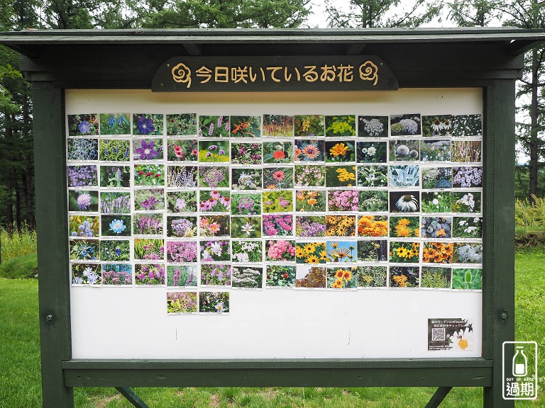 富良野-風之花園