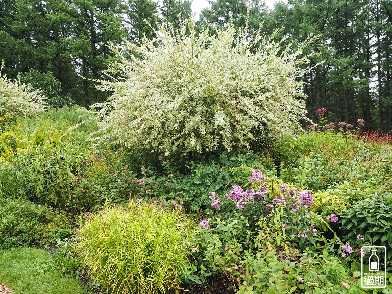 富良野-風之花園