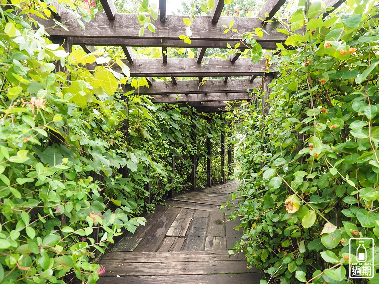 富良野-風之花園