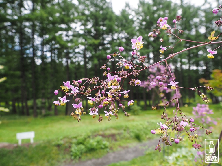 富良野-風之花園