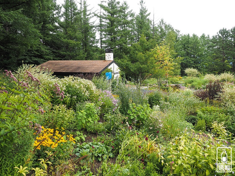 富良野-風之花園