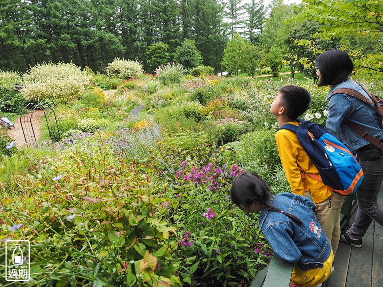 富良野-風之花園