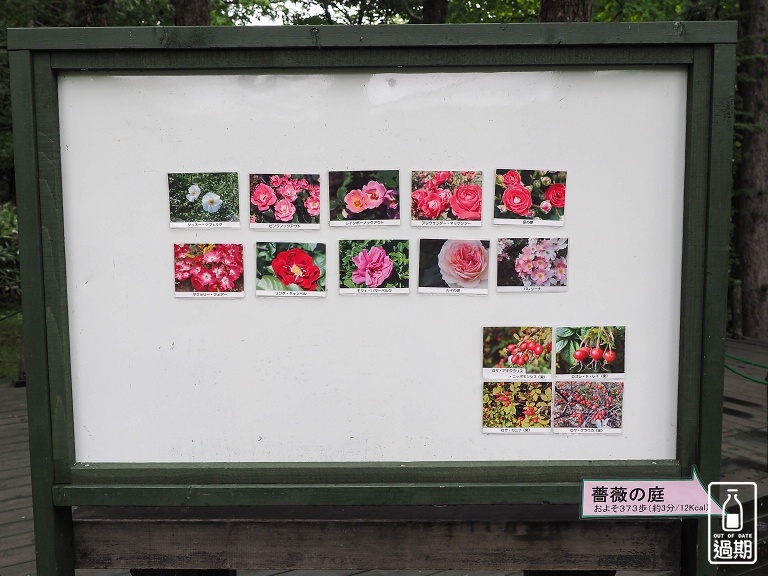 富良野-風之花園