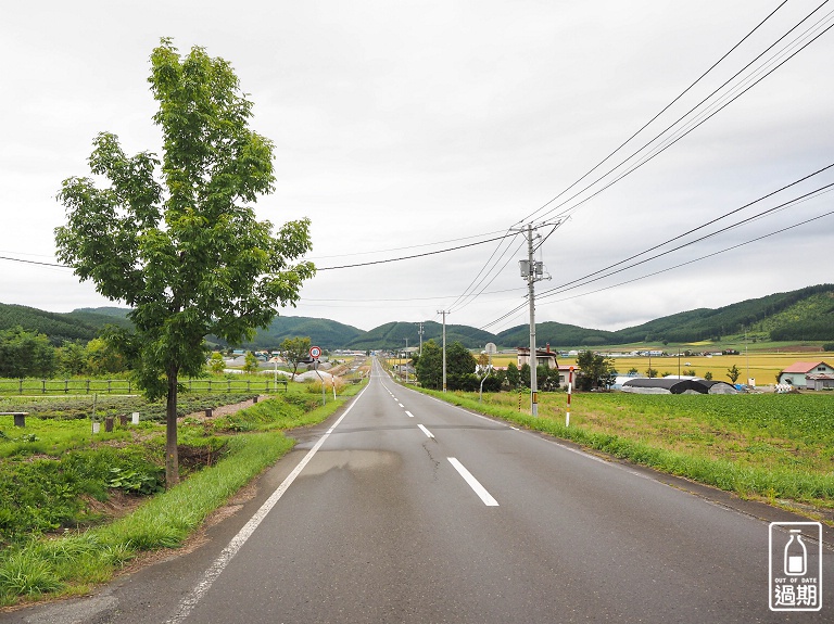 富良野-森林精靈露台