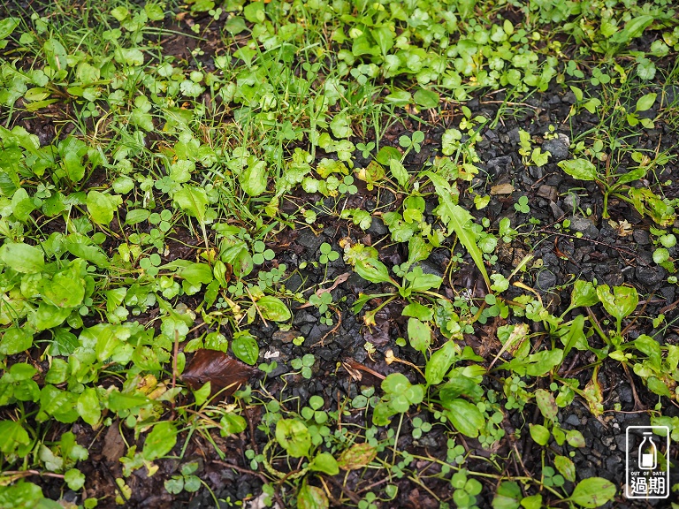 國設白金野營場