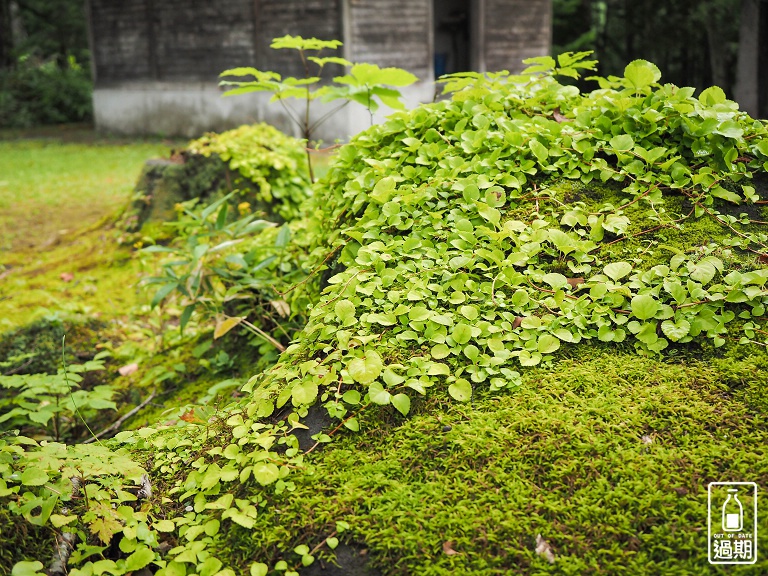 國設白金野營場