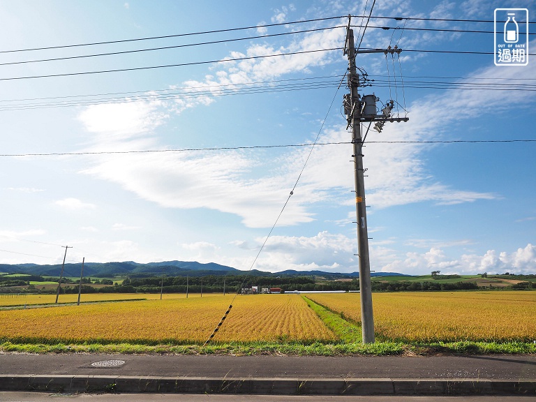 北海道露營車自駕經驗分享