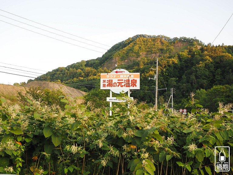 Family Land Mikasa遊園露營場