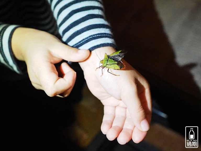 Family Land Mikasa遊園露營場