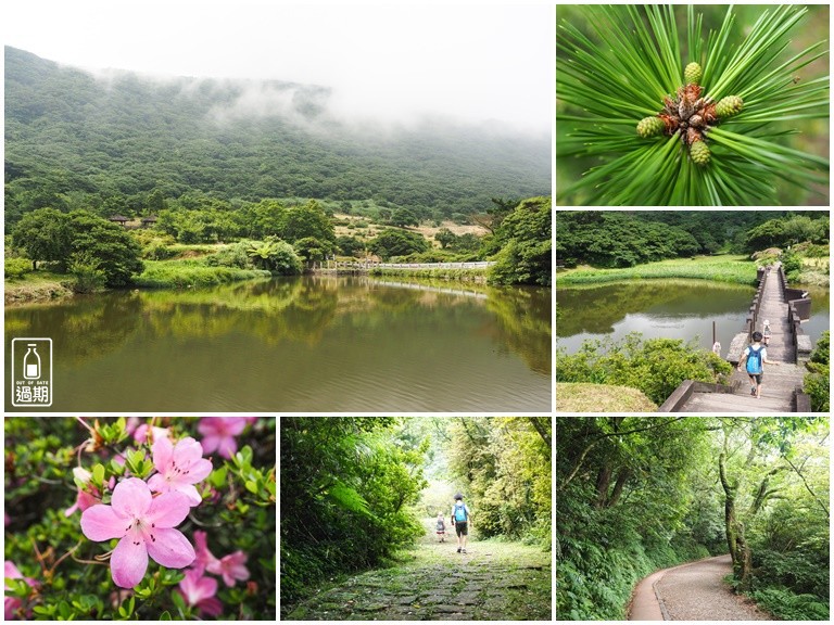 大屯自然公園-二子坪蝴蝶步道