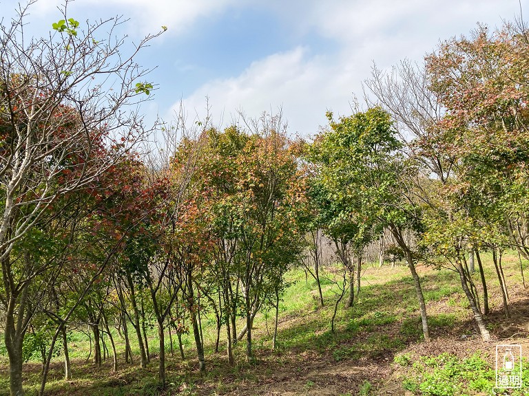 秀才登山步道