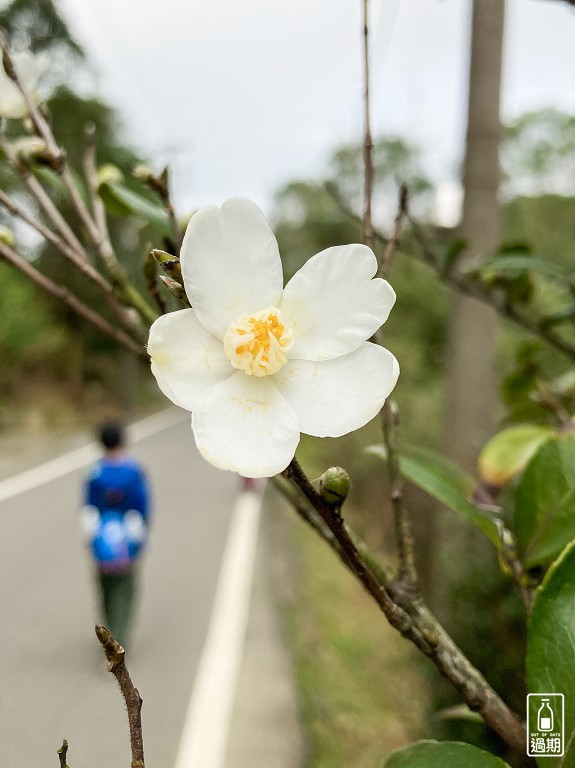 秀才登山步道