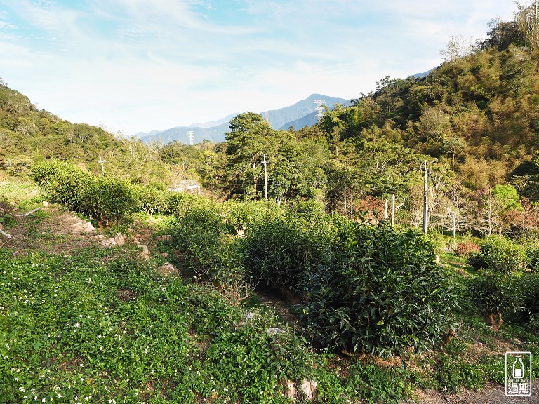 貓囒山步道