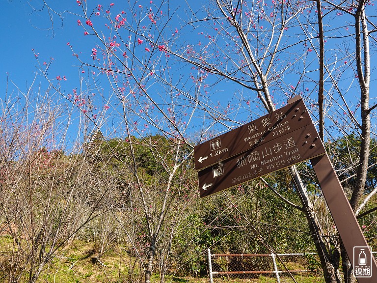 貓囒山步道