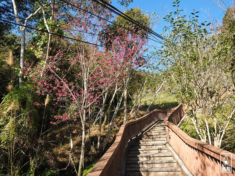 貓囒山步道