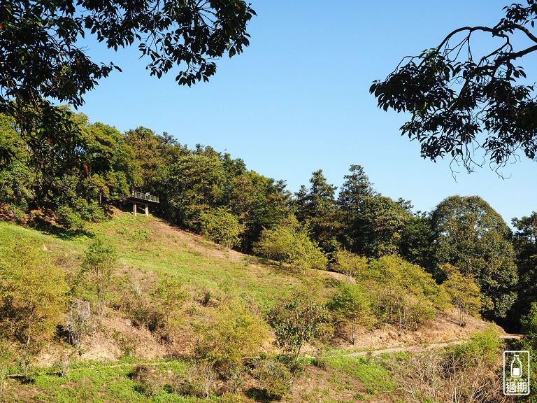 貓囒山步道