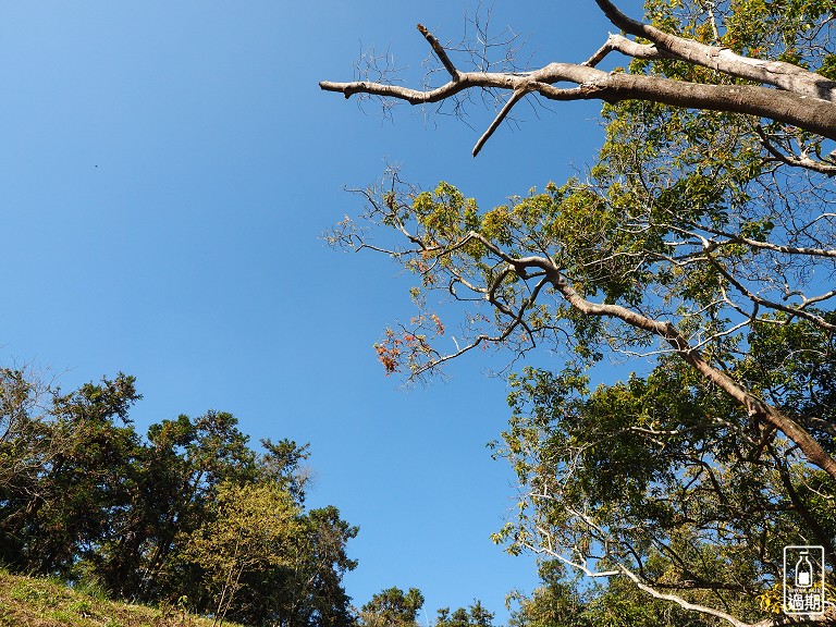 貓囒山步道