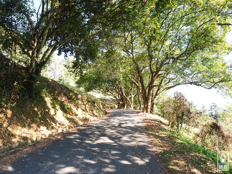 貓囒山步道