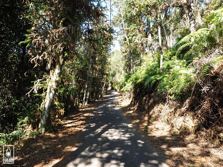 貓囒山步道