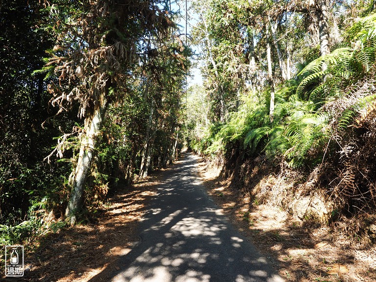 貓囒山步道