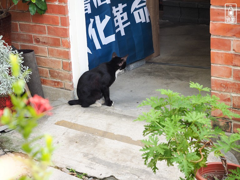 雲中街生活聚落