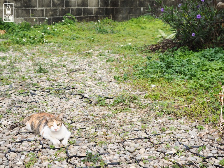 雲中街生活聚落