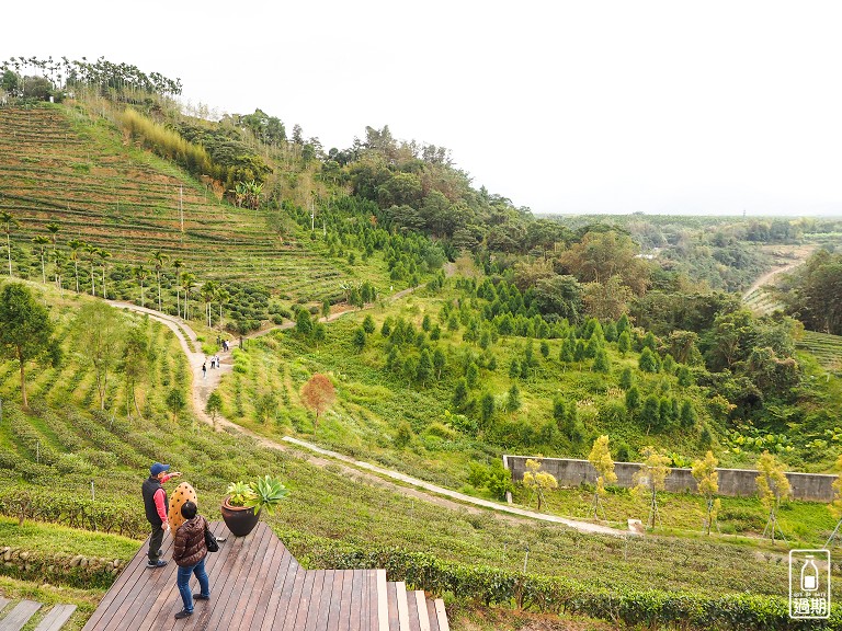 鹿篙咖啡莊園