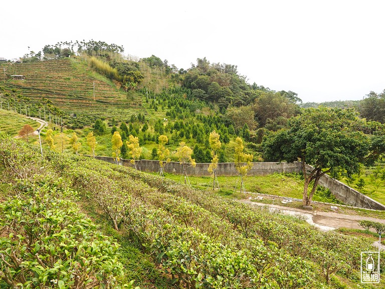 鹿篙咖啡莊園