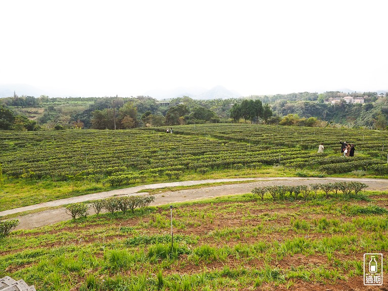 鹿篙咖啡莊園