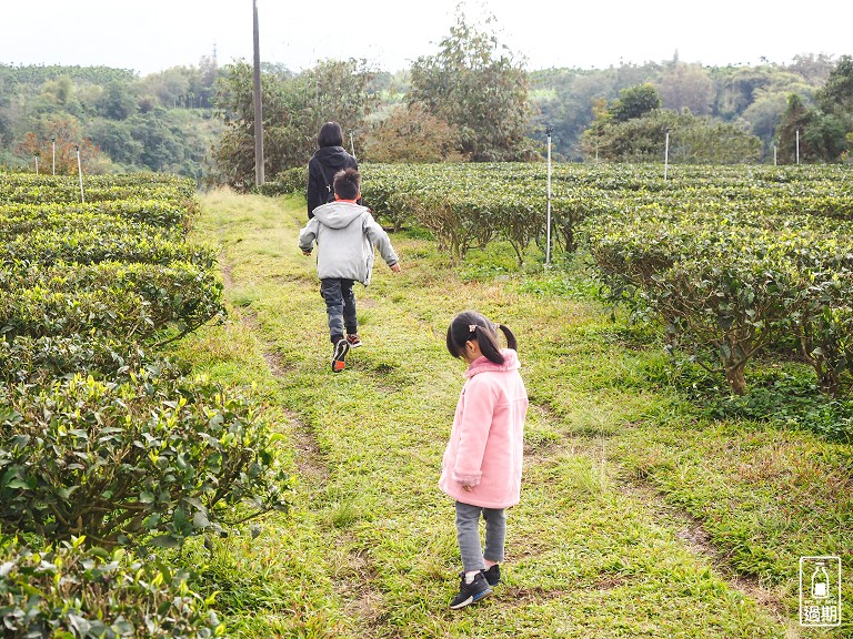 鹿篙咖啡莊園