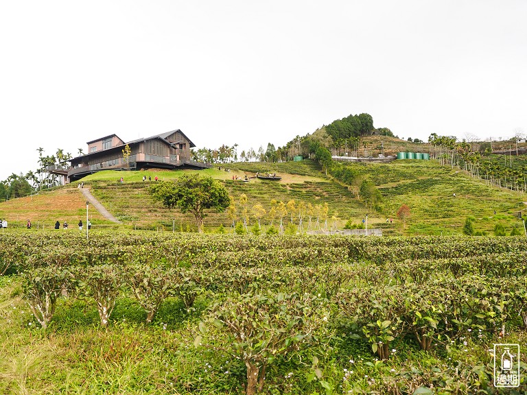 鹿篙咖啡莊園