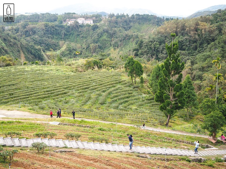 鹿篙咖啡莊園