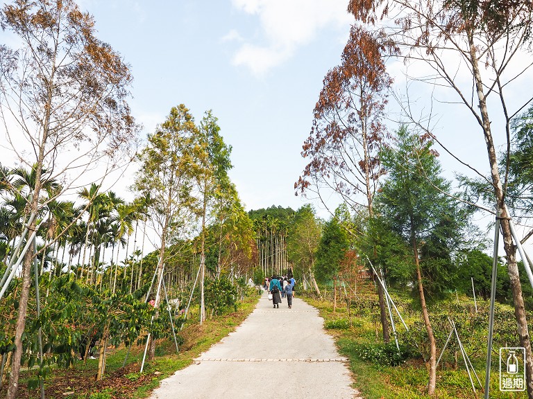 鹿篙咖啡莊園