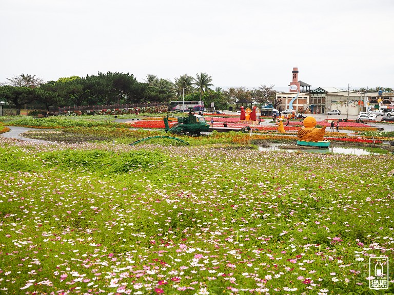 台東成功花海