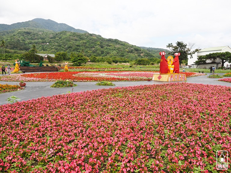 台東成功花海