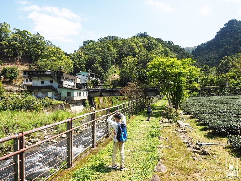 金瓜寮茶香生態村