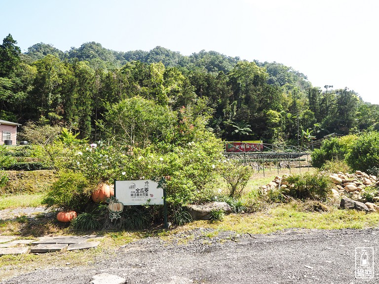 金瓜寮茶香生態村