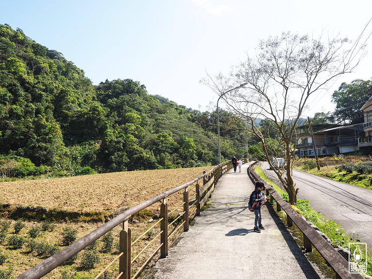 金瓜寮茶香生態村