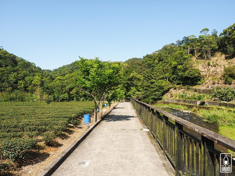 金瓜寮茶香生態村